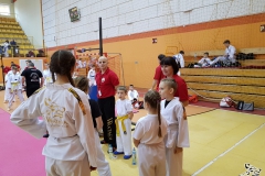 Mistrzostwa Wielkopolski w Taekwondo, Opatówek, 12.01.2019