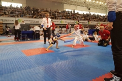 Polish Open Cup Taekwondo ITF / Tiger Cup, Dzierżoniów, 2-3.03.2019